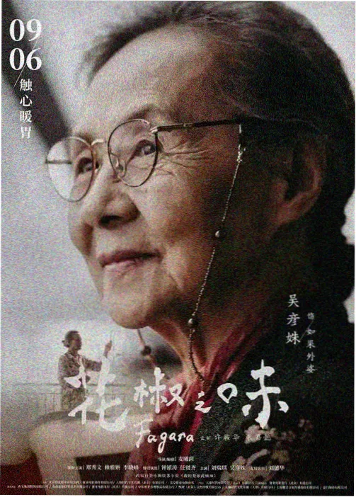 纸鸢与风 奇幻动画推荐